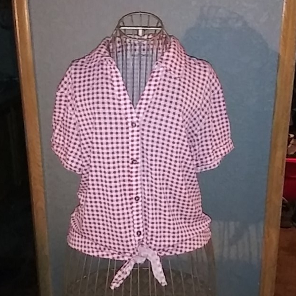 Wallflower collard gingham blouse
